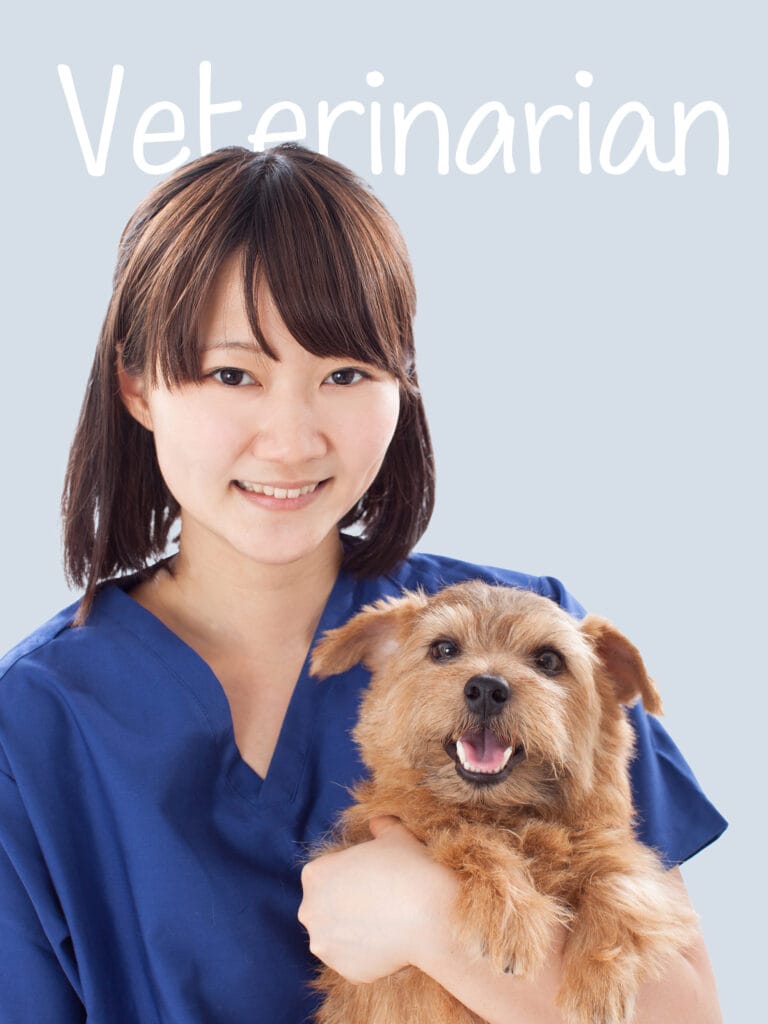 獣医師の仕事紹介