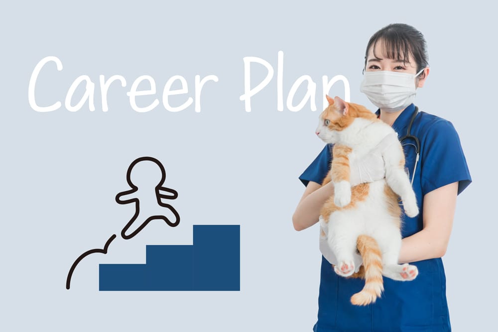 キャリアプラン